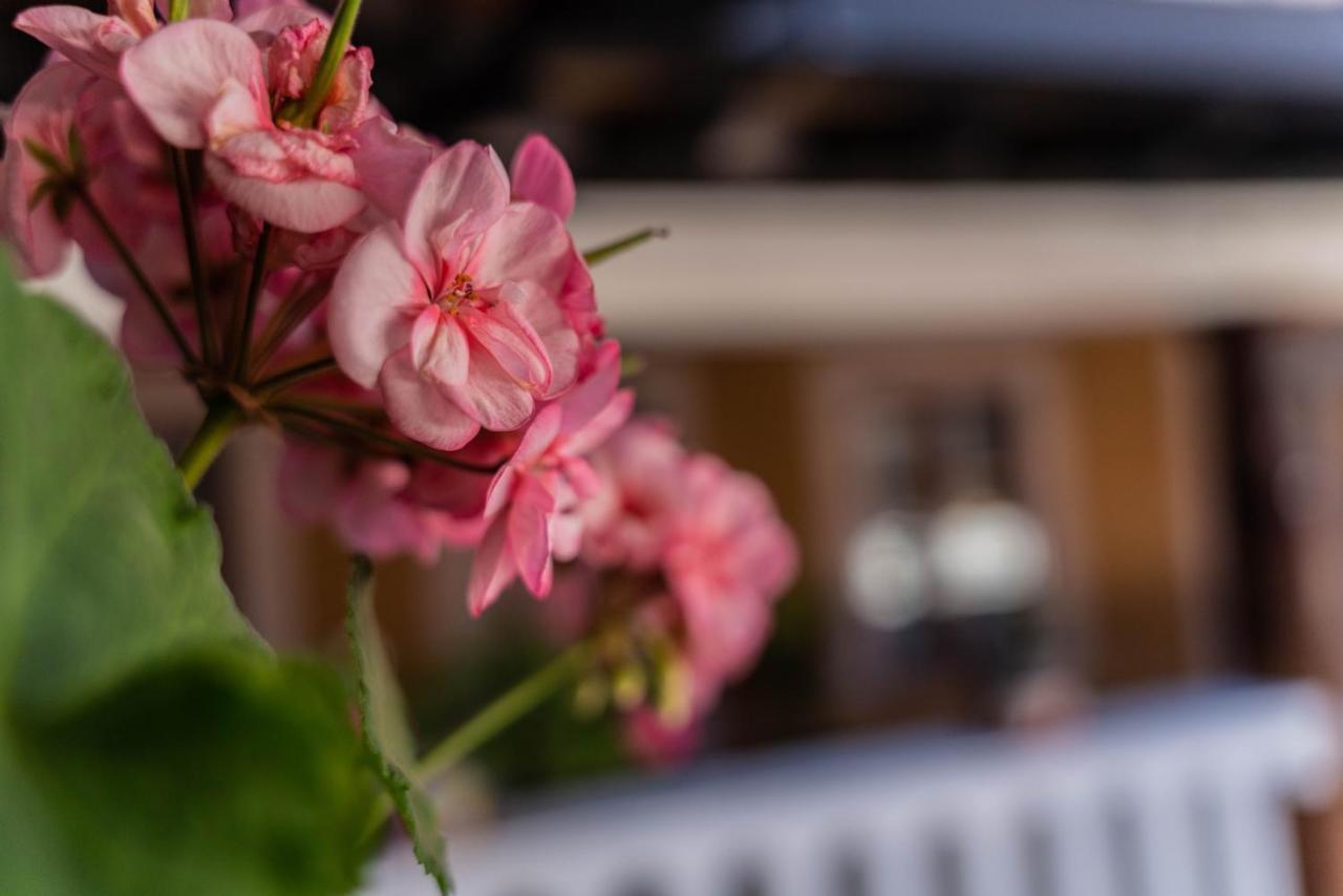 Casa Graciela Hotel Pátzcuaro Екстериор снимка